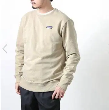 patagonia 파타고니아 업라이저 크루 맨투맨