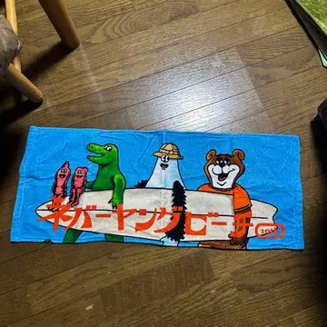 네버 영 비치 타월 이타다키