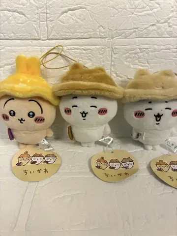 치이카와 (먼작귀) 가을이다몽 마스코트 치이카와 하치와레 토끼 3종 세트