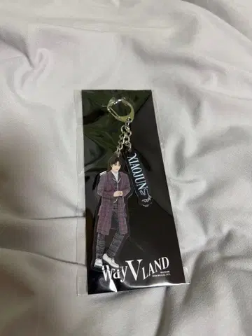 WayV LAND 샤오쥔 아크링 키링