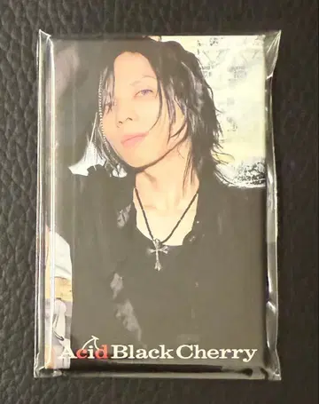 Acid Black Cherry 캔뱃지 Q.E.D.