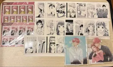 핑크와 하바네로 복권 메이트 파샤코레