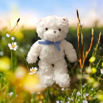 패밀리아 베어 familiar 패밀리아 봉제 인형 파미짱