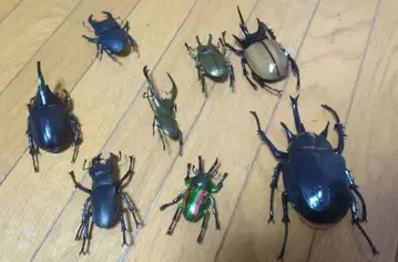 생물 도감 가챠가챠 8마리 세트