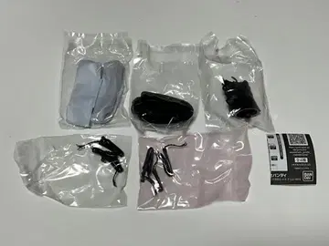 생물대도감 어드밴스 파 노코기리 사슴벌레 (대형) 가샤폰판