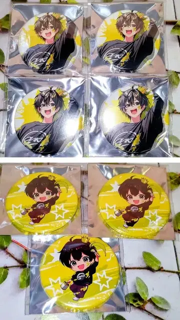 여성 연구 학원 재해 여성 연구 대학 니키 7세트