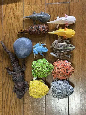 생물대도감 묶음 판매