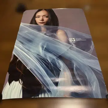 아무로 나미에 25주년 기념 포스터