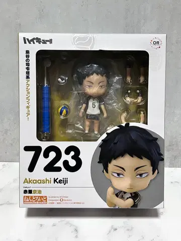 아카아시 케이지 넨도로이드