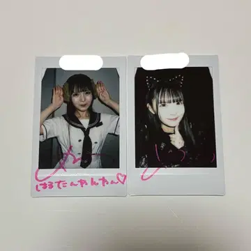 논피쿠! 코이호시 하루카 폴라로이드