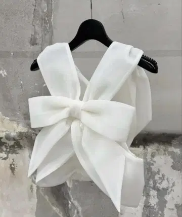 litmus her praha 하프 리본 하네스 화이트 뷔스티에