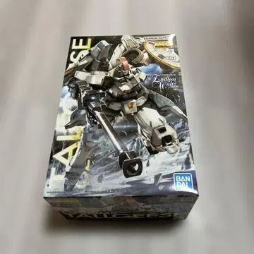 MG 1/100 톨기스 EW