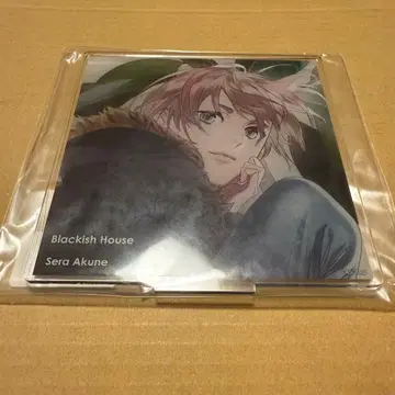 Blackish House 아쿠네 세라 브라하 복권 아크릴 스탠드