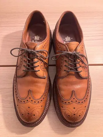 Alden 979 7D 카프