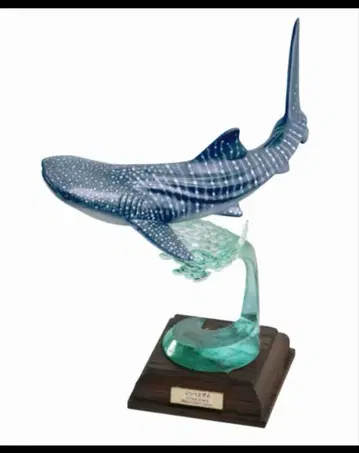 NTC 해양 I 특장판 징베 상어 [ 미개봉 ]