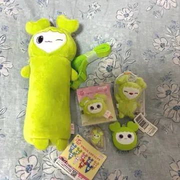 GiGO TWICE LOVELYS 정연 5종