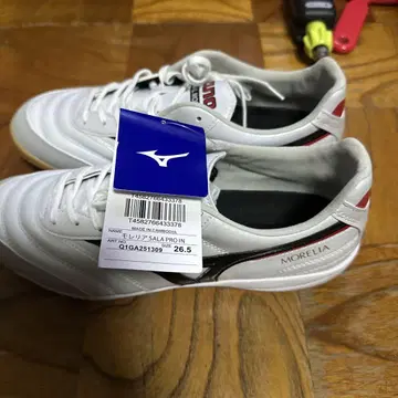 미즈노 모렐리아 SALA PRO IN
