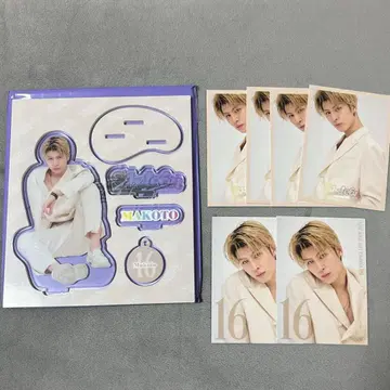 하세가와 신 세트