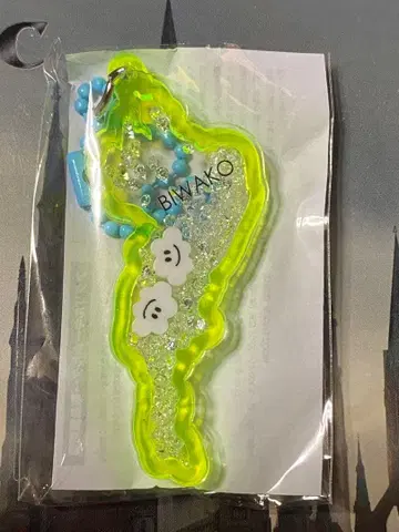 비와코 아크릴 키링