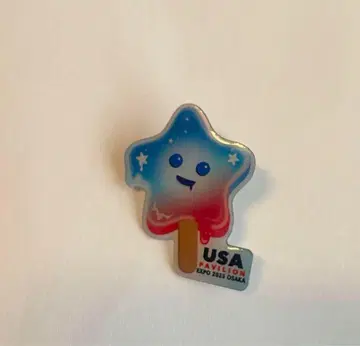 미국관 내셔널 데이 핀 배지