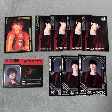 하세가와 신 포토 카드 세트