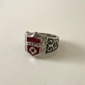 가정교사 히트맨 REBORN! 반지 &  참 컬렉션 바리아 링