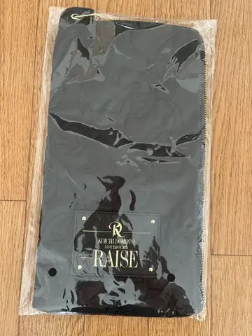 KOICHI DOMOTO RAISE 응원봉 케이스