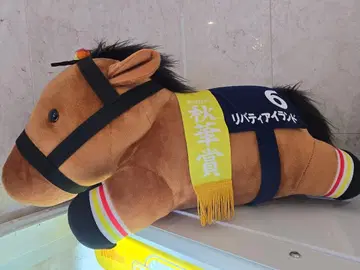 [다이토 한정판] 리버티 아일랜드 슈카상 네소베리 초 BIG