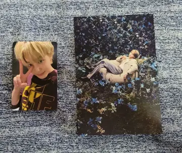 JIMIN MUSE 특전 카드 세트