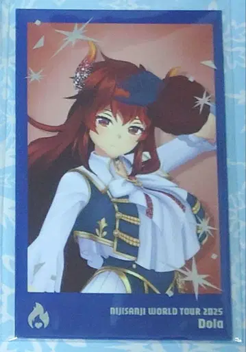 WORLD TOUR 2025 요코하마 폴라로이드풍 카드 세트 도라