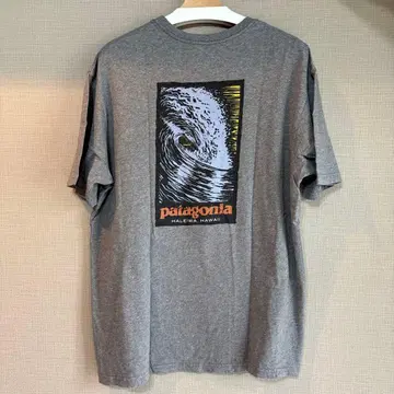 Patagonia USA제 파타고니아 T셔츠 백 프린트 size L