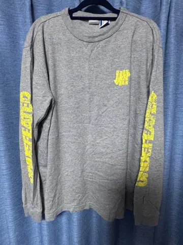 champion UNDEFEATED LS 챔피온 언디피티드