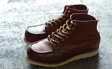 RED WING 875 반원 개 택