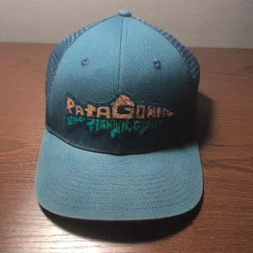 Patagonia 자수 로고 트래커 캡