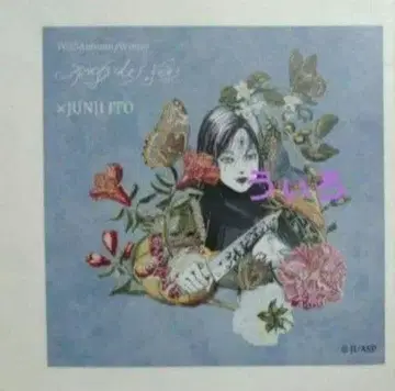 페이데페 PAYS DES FEES 토미에 이토 준지 플라이어