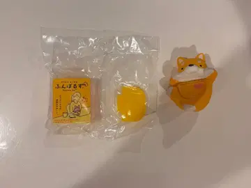 히퍼스 푼바루즈 시바견