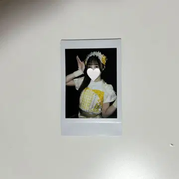 논픽션! 코르네 사인 없는 폴라로이드