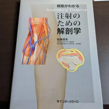 근거를 알 수 있는 주사를 위한 해부학