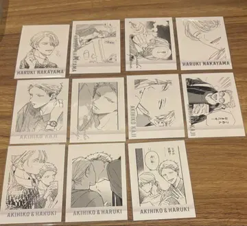 기븐전 ENCORE 파샤코레 Premium 하루키 아키히코 전종