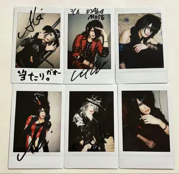 ZERA 제라 Aqui 폴라로이드 세트 4