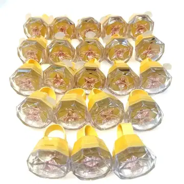 히메미야 토리 반지 라이트 9th 22점