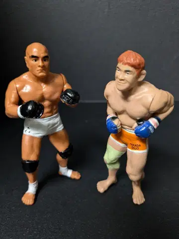 사쿠라바 히크손 그레이시 피규어 2체 세트