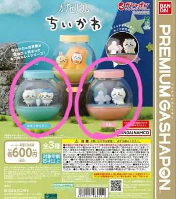 치이카와 (먼작귀) 카프세리움 칭찬 리본 채집 2종 세트