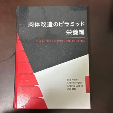 신체 개조의 피라미드 영양편