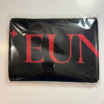 PLAVE 아시아 투어 굿즈 우노 EUNHO 타월