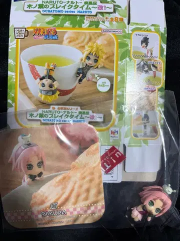 나뭇잎 브레이크 타임 사쿠라