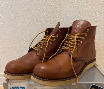 REDWING 레드윙 아이리쉬 세터 9105