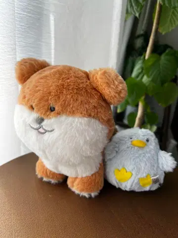 시바코로짱 보짱 봉제 인형 호와코로클럽