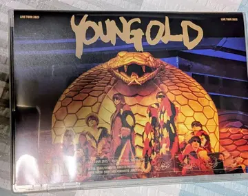 SixTONES YOUNG GOLD LIVE 초회반 본편만