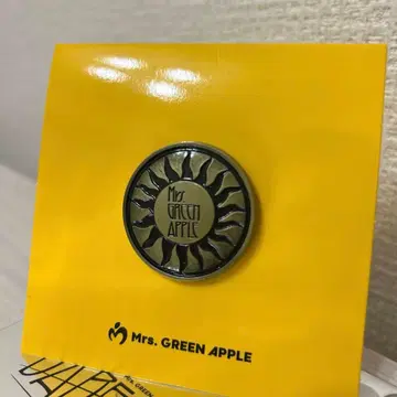 Mrs. GREEN APPLE 핀즈B